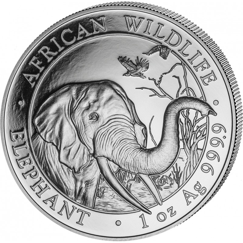 Somalia Elephant 2018 100 Shillings 1 OZ (31,1 gr.) Argento 999 Silver Coin